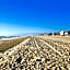 Channel Island Shores