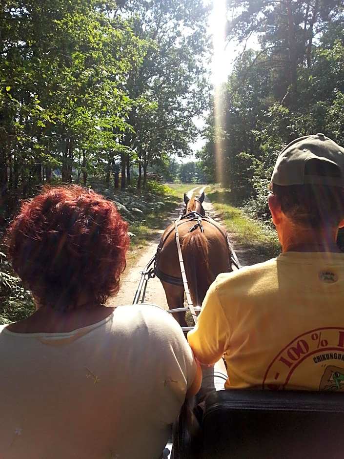Maison d'Hôtes La Quèrière