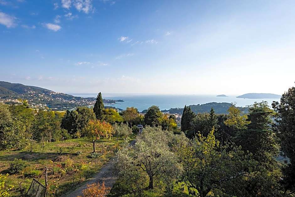 La Camelia Bianca B&B