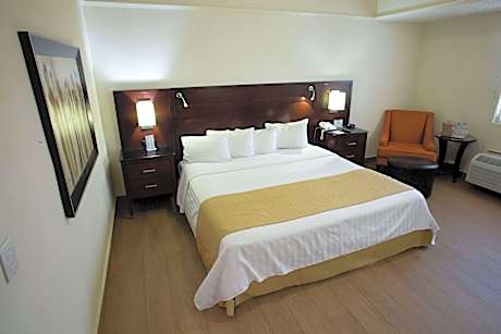 1 King Bed Non-Smoking