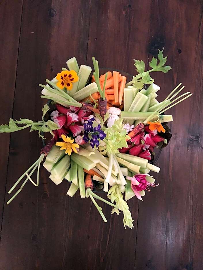 The Frogs House - Yoga Retreat