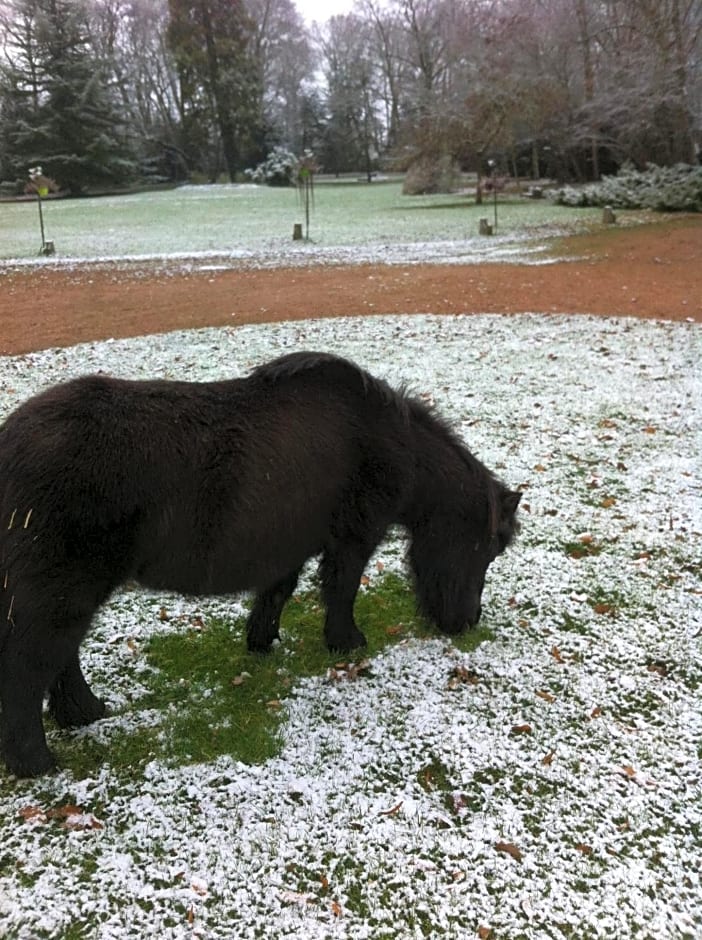 Château de Saint-Agoulin