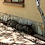 Woodpecker Lodge B&B