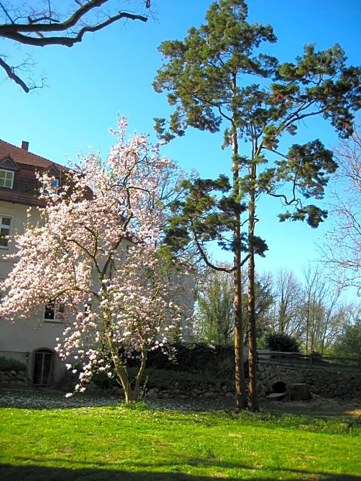Gartenzimmer im Schloss Neuhausen