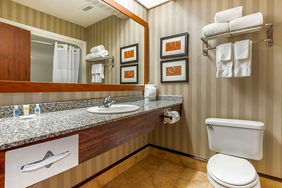 Comfort Inn Summerville - Charleston