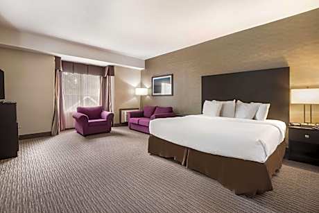 Business King Room - Non-Smoking