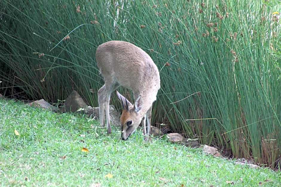 Khululeka Safaris Lodge