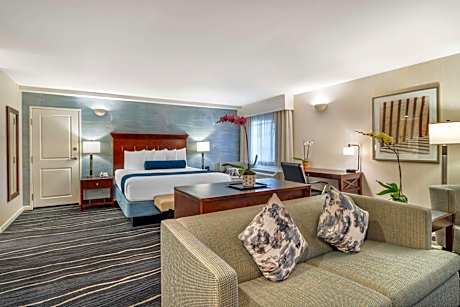 Deluxe King Suite - Non-Smoking