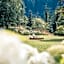 Felbermayer Hotel & AlpineSpa-Montafon