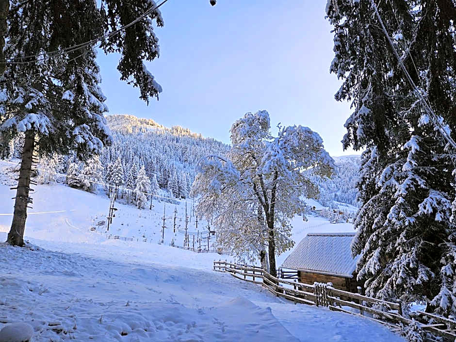 Kinder- und Familienhotel Nockalm