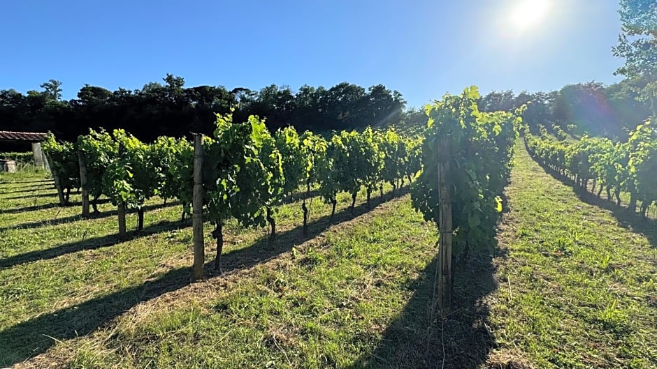 Agriturismo Cascina Cipressa