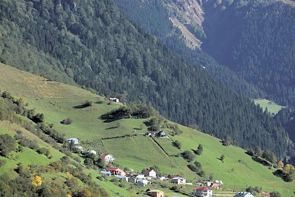 Hamsiköy Seyirtepe Butik Otel