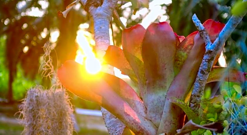 Smile Home @ Krabi Klong Muang Beach