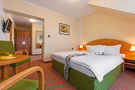 Superior Queen Room