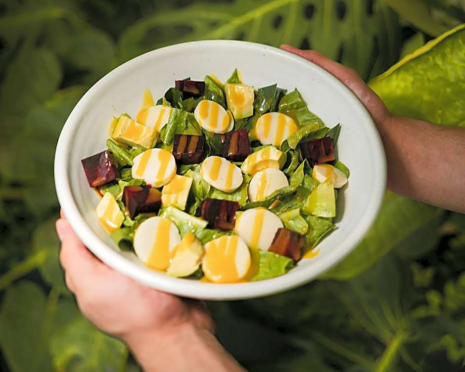 The Xperience by g - Adults only