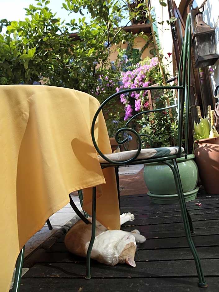 Hotel San Filis