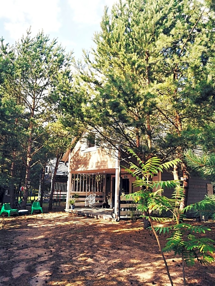 Domki Między Drzewami