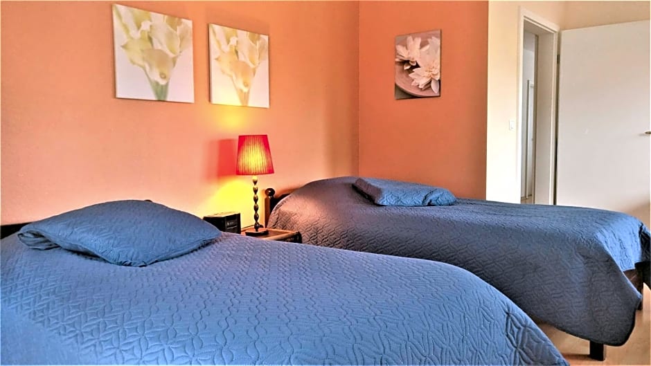 B&B Grenspaal 286