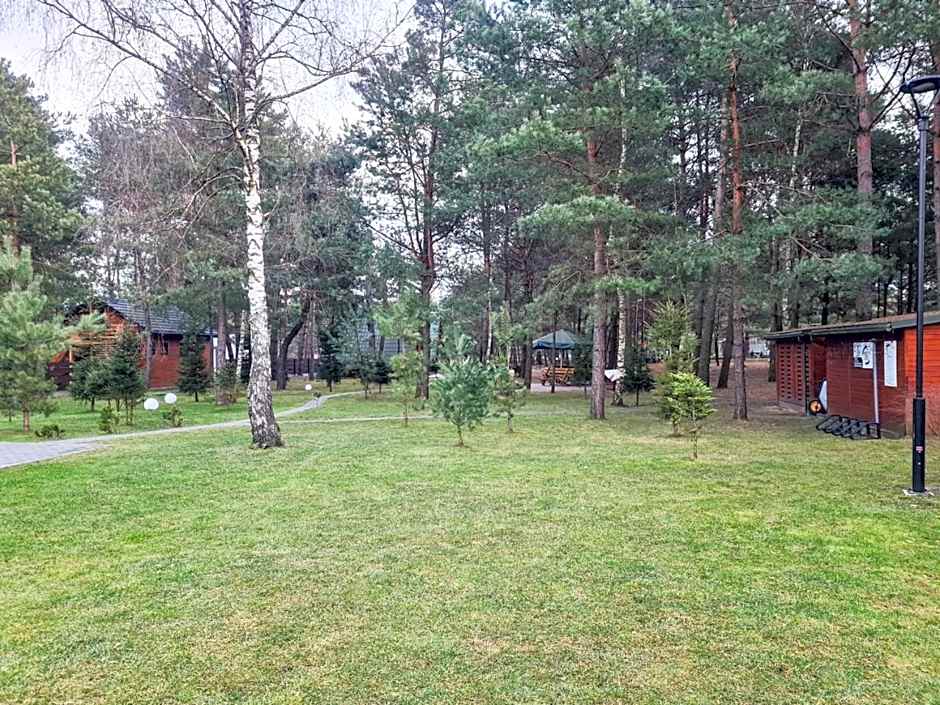 Domki nad Wartą Kajaki & SPA