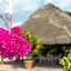 BONITTO INN® Gonzalez