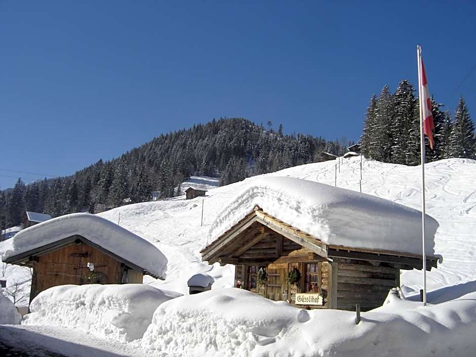 Gässlihof