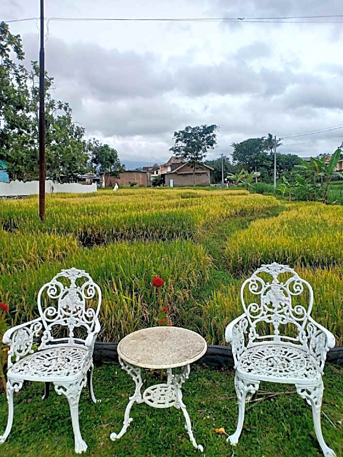 Putri Duyung Guest House