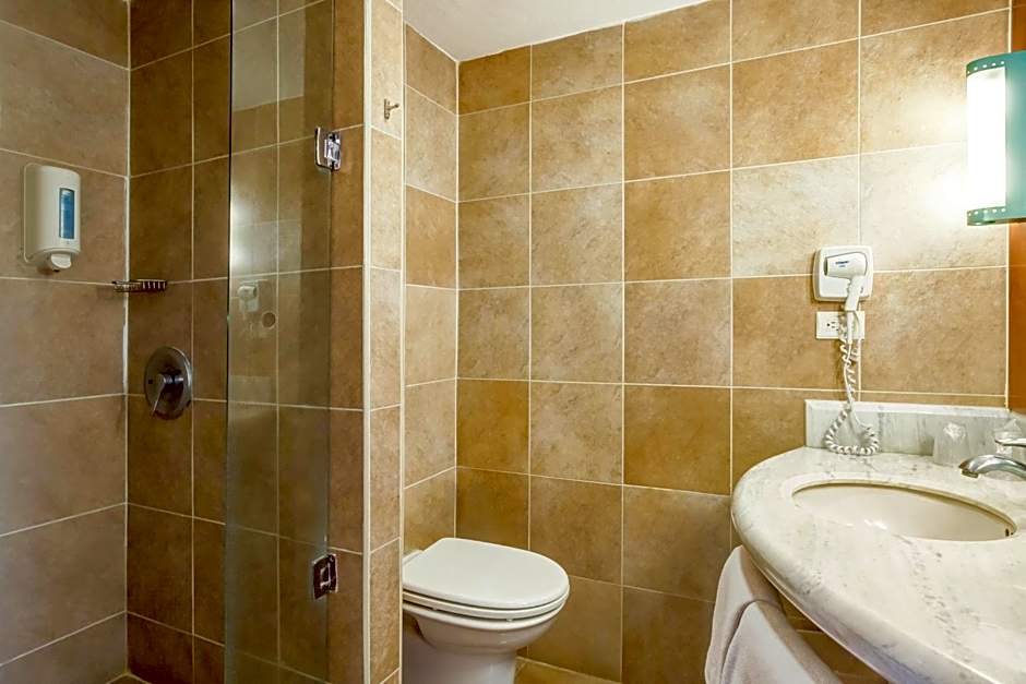 Ibis Aguascalientes Norte