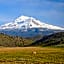 Inn At Mount Shasta