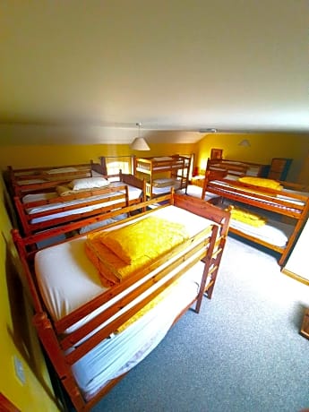 Single Bed in 12-Bed Dormitory Room