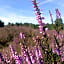 Natuurpoort van Loon