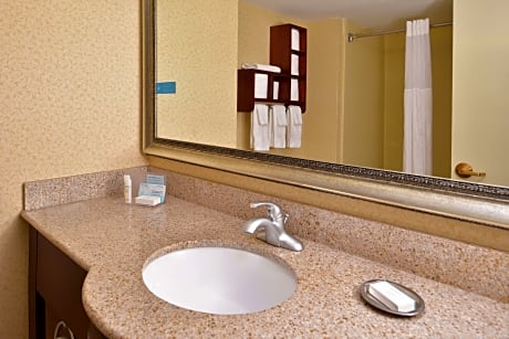 1 King Bed Nonsmoking