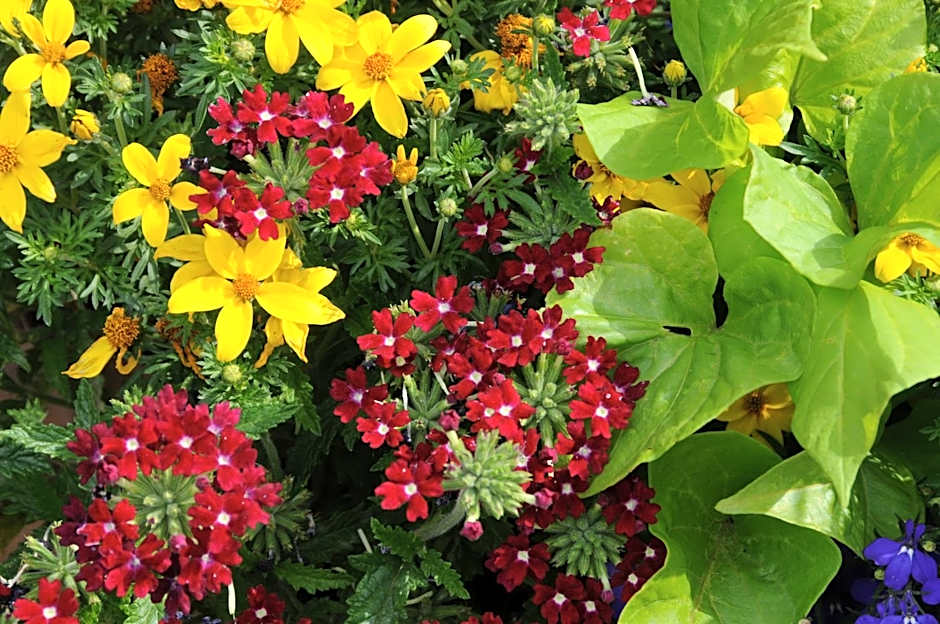 Pike's Waterfront Lodge