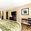 Comfort Inn North Dallas Near the Galleria