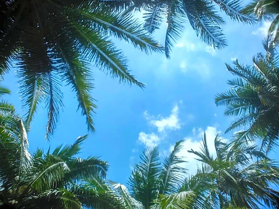 Cross Bill Beach Resort – Havelock Island, OK