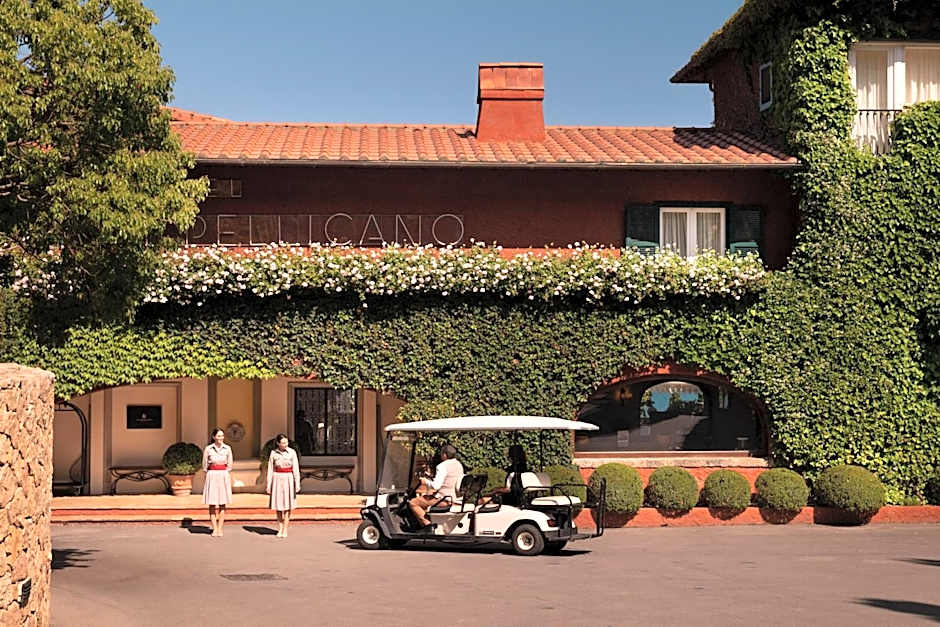 Il Pellicano