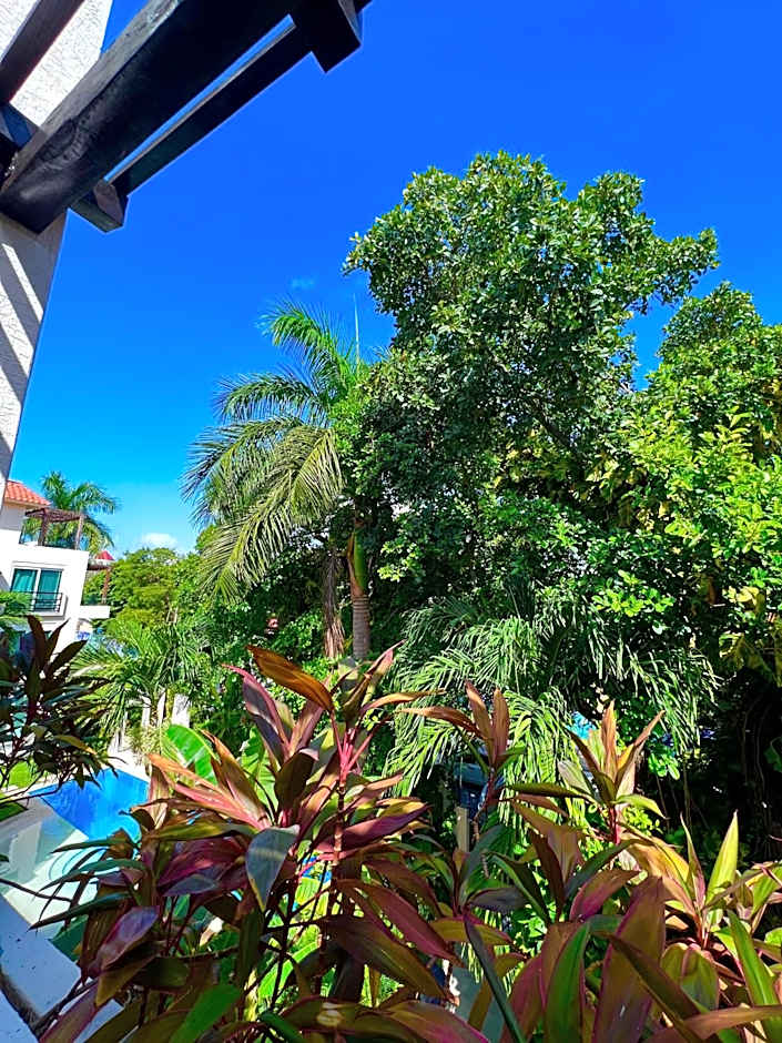 PENTHOUSE con Terraza privada super cómodo y espacioso.