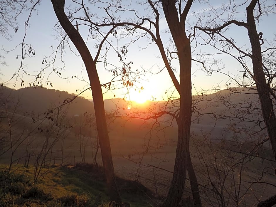 Piccolo Gesto d'Affetto