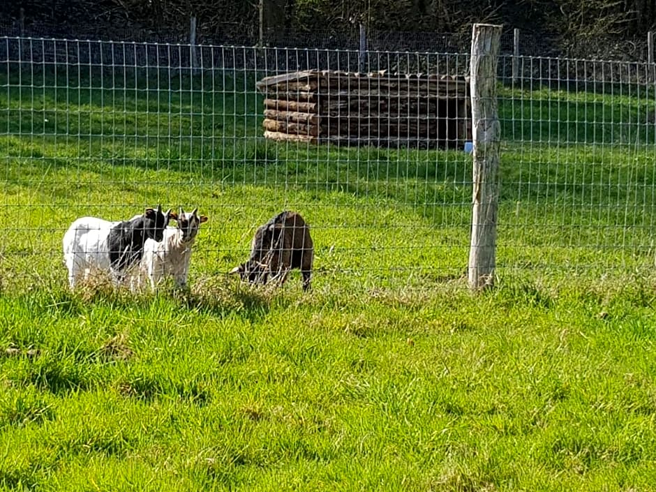 Le Val des Cerfs - Het Hertendal