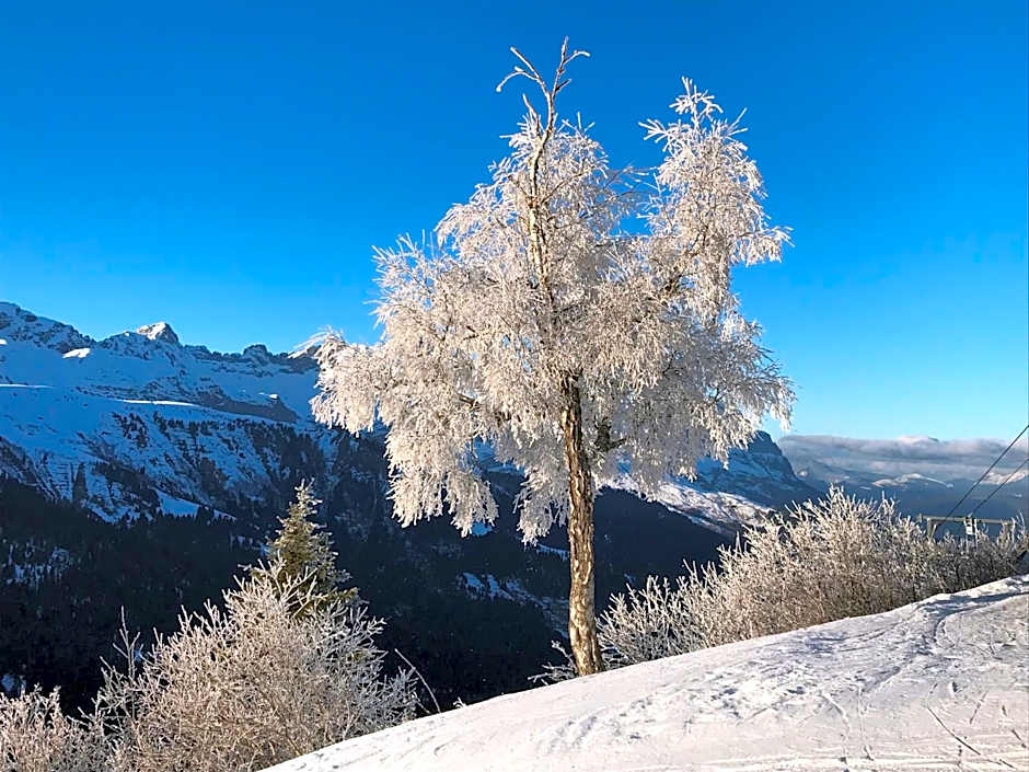 Luxury 2 Bedroom Apartment with view of Mont Blanc