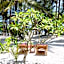 Evergreen Bungalows