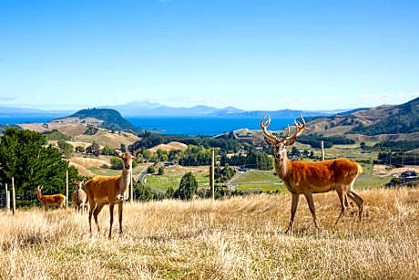 Hilltop Whakaipo Estate