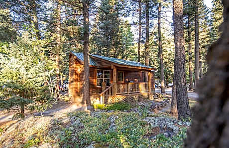 The Iris Cabin #1 at Blue Spruce RV Park & Cabins