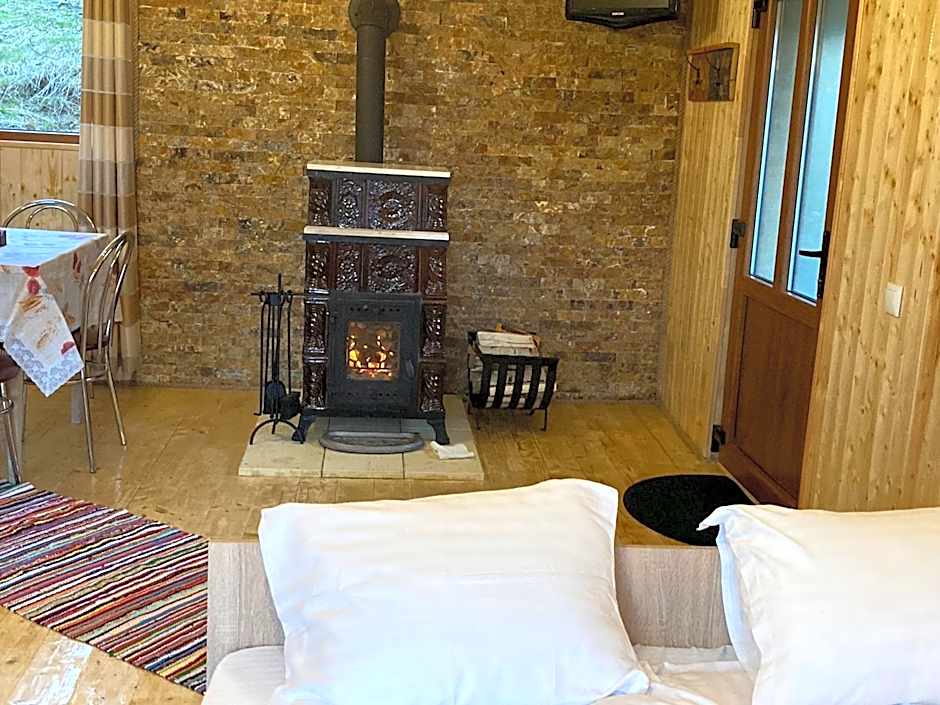 Cabana doi mesteceni