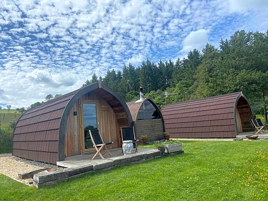 Stoneymollan over Loch Lomond