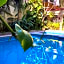 Hotel Sol del Pacifico