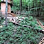 Lost River Hostel