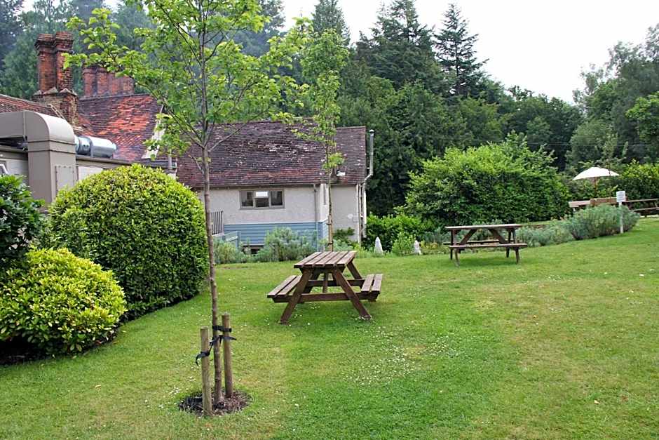 Bel And The Dragon-Churt