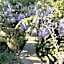 Woodpaddock B&B