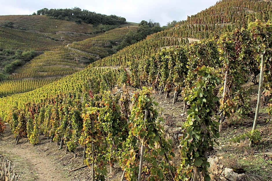 Hôtel Le Domaine des Vignes Ampuis Lyon Sud Vienne