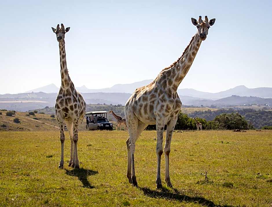 Botlierskop Tented Lodge